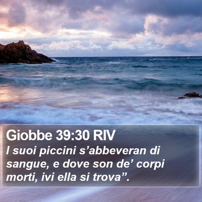 Giobbe 39:30 RIV Bible Verse Image