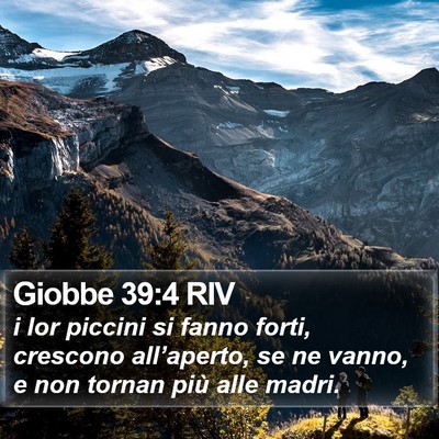 Giobbe 39:4 RIV Bible Verse Image