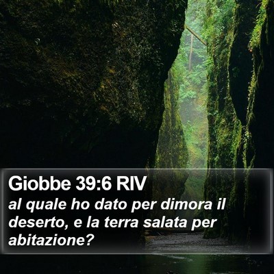 Giobbe 39:6 RIV Bible Verse Image