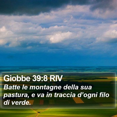 Giobbe 39:8 RIV Bible Verse Image