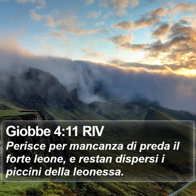 Giobbe 4:11 RIV Bible Verse Image