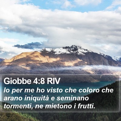 Giobbe 4:8 RIV Bible Verse Image