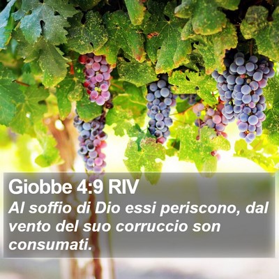Giobbe 4:9 RIV Bible Verse Image