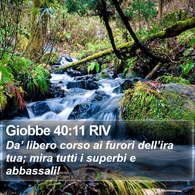 Giobbe 40:11 RIV Bible Verse Image