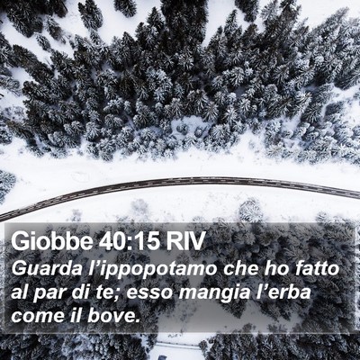 Giobbe 40:15 RIV Bible Verse Image