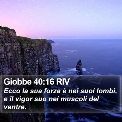Giobbe 40:16 RIV Bible Verse Image