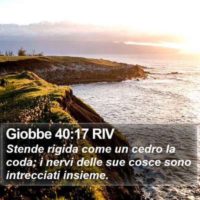 Giobbe 40:17 RIV Bible Verse Image