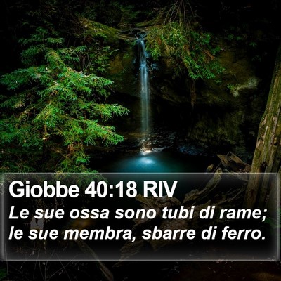 Giobbe 40:18 RIV Bible Verse Image