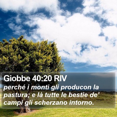Giobbe 40:20 RIV Bible Verse Image