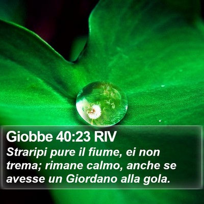Giobbe 40:23 RIV Bible Verse Image