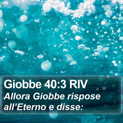 Giobbe 40:3 RIV Bible Verse Image