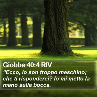 Giobbe 40:4 RIV Bible Verse Image