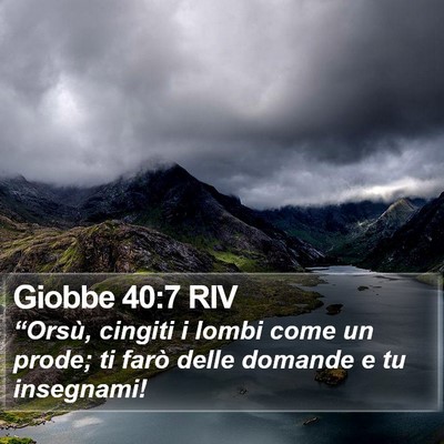 Giobbe 40:7 RIV Bible Verse Image