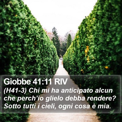 Giobbe 41:11 RIV Bible Verse Image