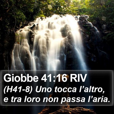 Giobbe 41:16 RIV Bible Verse Image