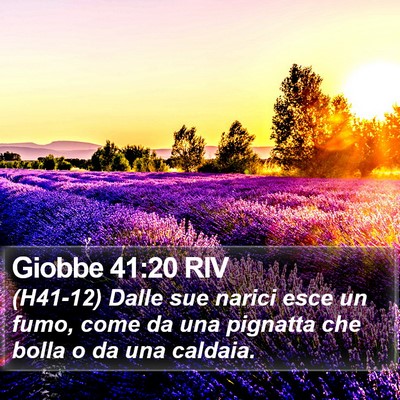 Giobbe 41:20 RIV Bible Verse Image