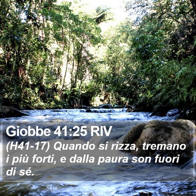 Giobbe 41:25 RIV Bible Verse Image