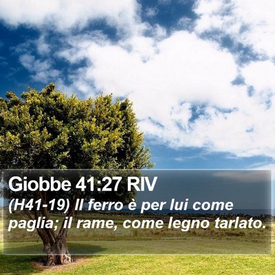 Giobbe 41:27 RIV Bible Verse Image