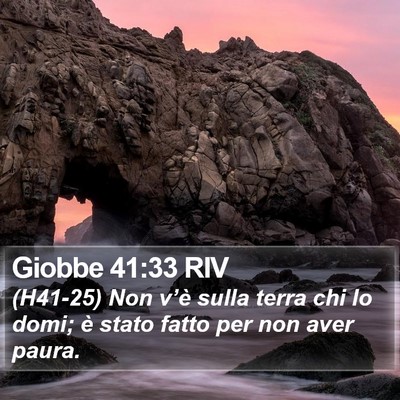Giobbe 41:33 RIV Bible Verse Image