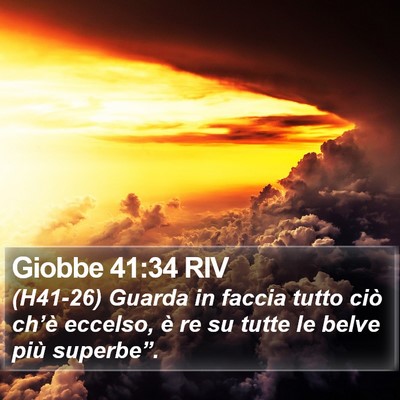Giobbe 41:34 RIV Bible Verse Image