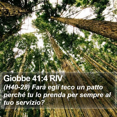 Giobbe 41:4 RIV Bible Verse Image