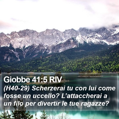 Giobbe 41:5 RIV Bible Verse Image