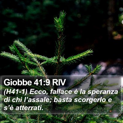Giobbe 41:9 RIV Bible Verse Image