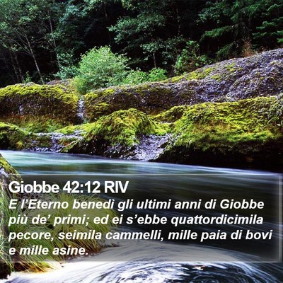 Giobbe 42:12 RIV Bible Verse Image