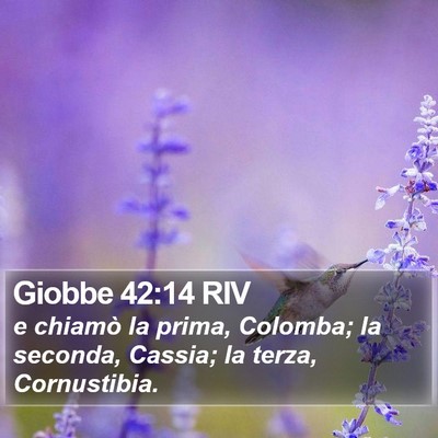 Giobbe 42:14 RIV Bible Verse Image