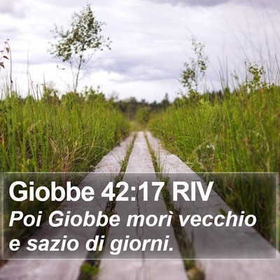 Giobbe 42:17 RIV Bible Verse Image
