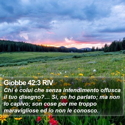 Giobbe 42:3 RIV Bible Verse Image