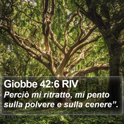 Giobbe 42:6 RIV Bible Verse Image