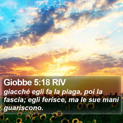 Giobbe 5:18 RIV Bible Verse Image