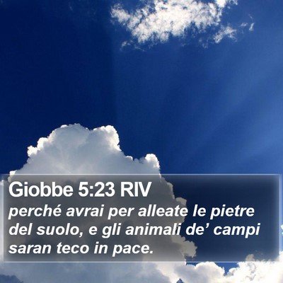 Giobbe 5:23 RIV Bible Verse Image