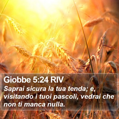 Giobbe 5:24 RIV Bible Verse Image