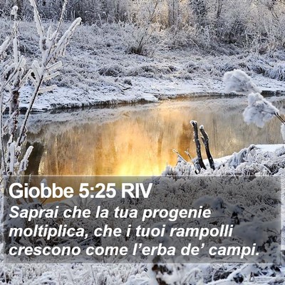 Giobbe 5:25 RIV Bible Verse Image