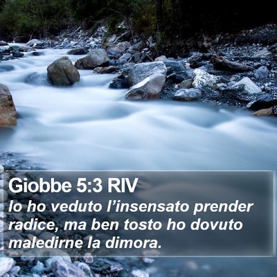Giobbe 5:3 RIV Bible Verse Image