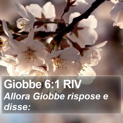 Giobbe 6:1 RIV Bible Verse Image