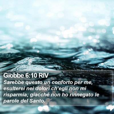 Giobbe 6:10 RIV Bible Verse Image