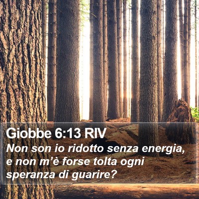 Giobbe 6:13 RIV Bible Verse Image