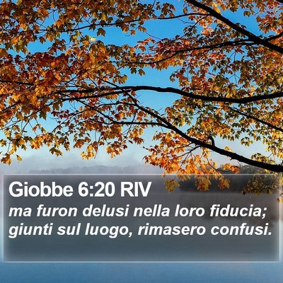 Giobbe 6:20 RIV Bible Verse Image