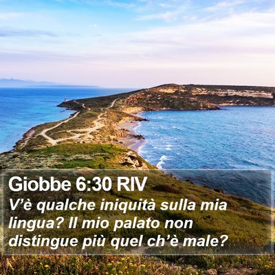 Giobbe 6:30 RIV Bible Verse Image