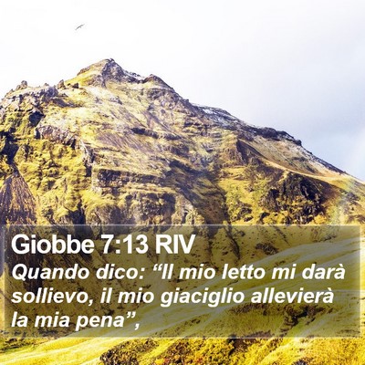 Giobbe 7:13 RIV Bible Verse Image