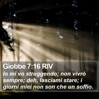 Giobbe 7:16 RIV Bible Verse Image
