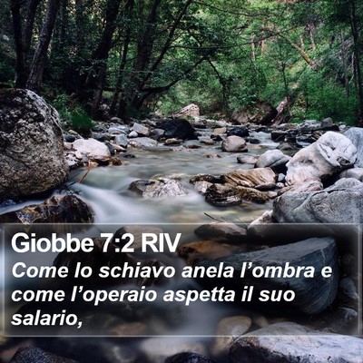 Giobbe 7:2 RIV Bible Verse Image