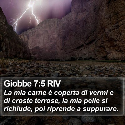 Giobbe 7:5 RIV Bible Verse Image