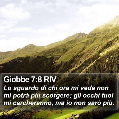 Giobbe 7:8 RIV Bible Verse Image