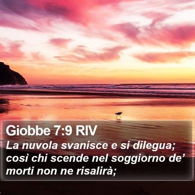 Giobbe 7:9 RIV Bible Verse Image