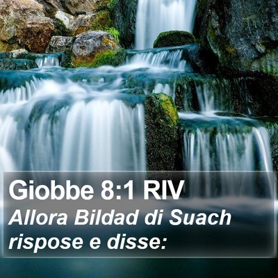 Giobbe 8:1 RIV Bible Verse Image