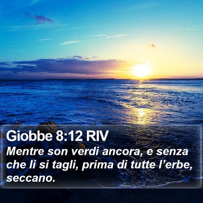 Giobbe 8:12 RIV Bible Verse Image